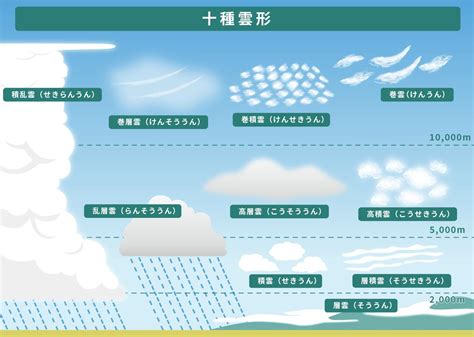 自然形態|「かたち」についてまとめてみました 